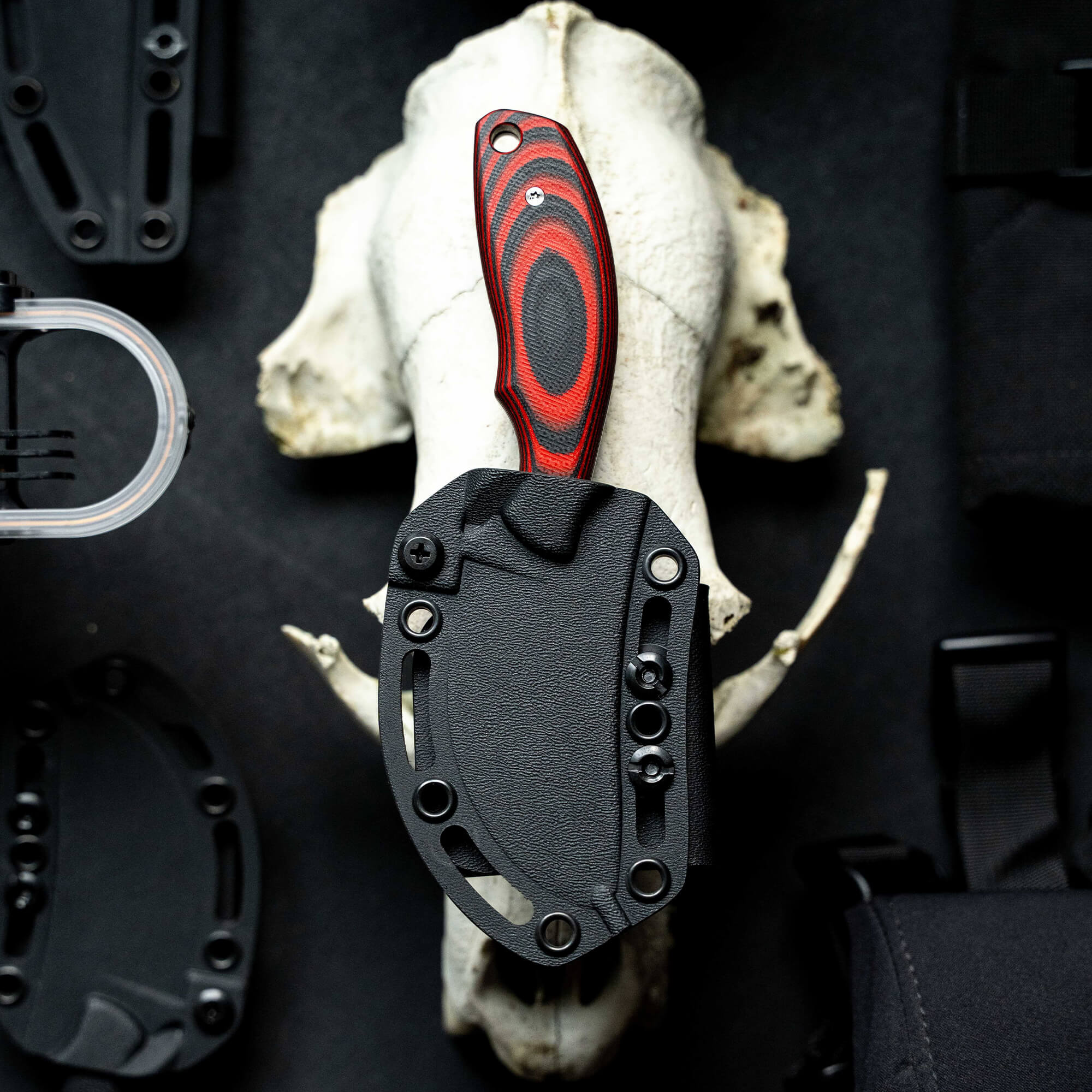 Red and black handled skinner knife in a black sheath mounted on a white animal skull against a dark background.