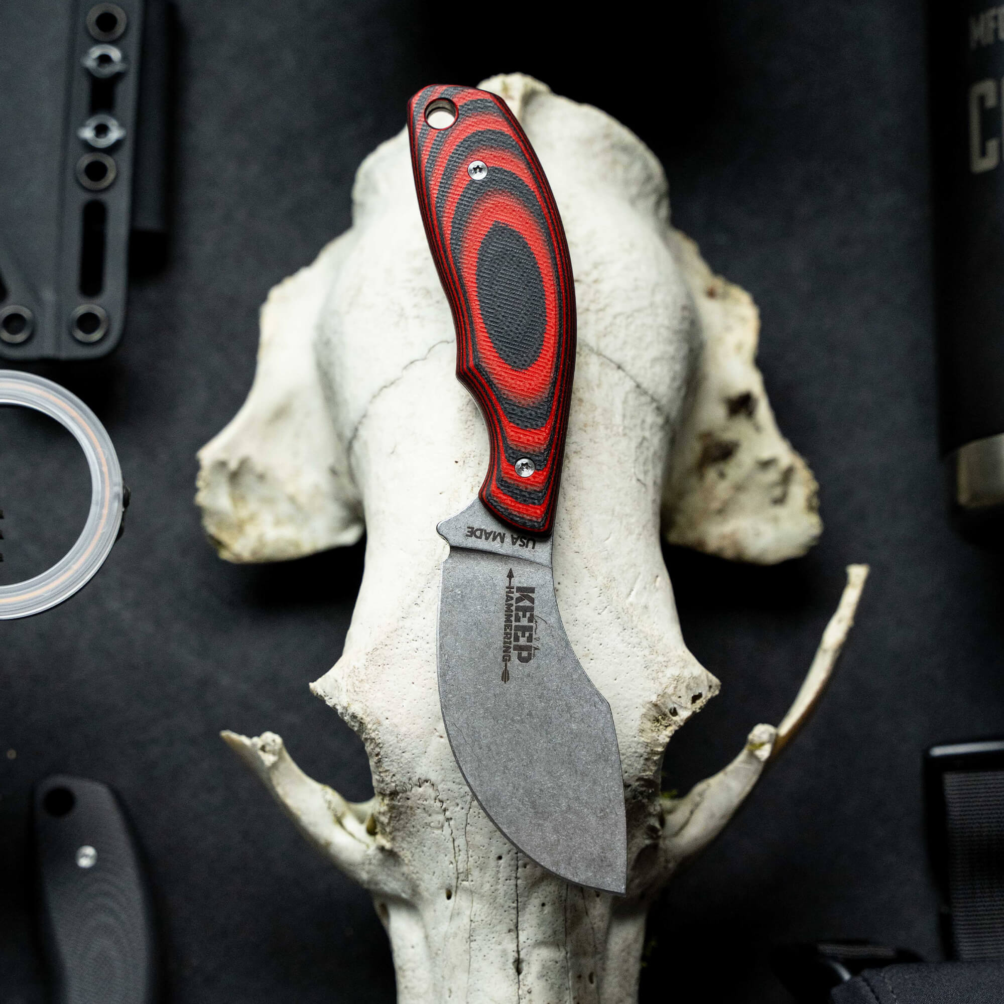 Alt-text: "A close-up view of the Keep Hammering Packout Skinner knife with a bold red and black handle, displayed vertically against a white animal skull background, showcasing its unique curved blade design."