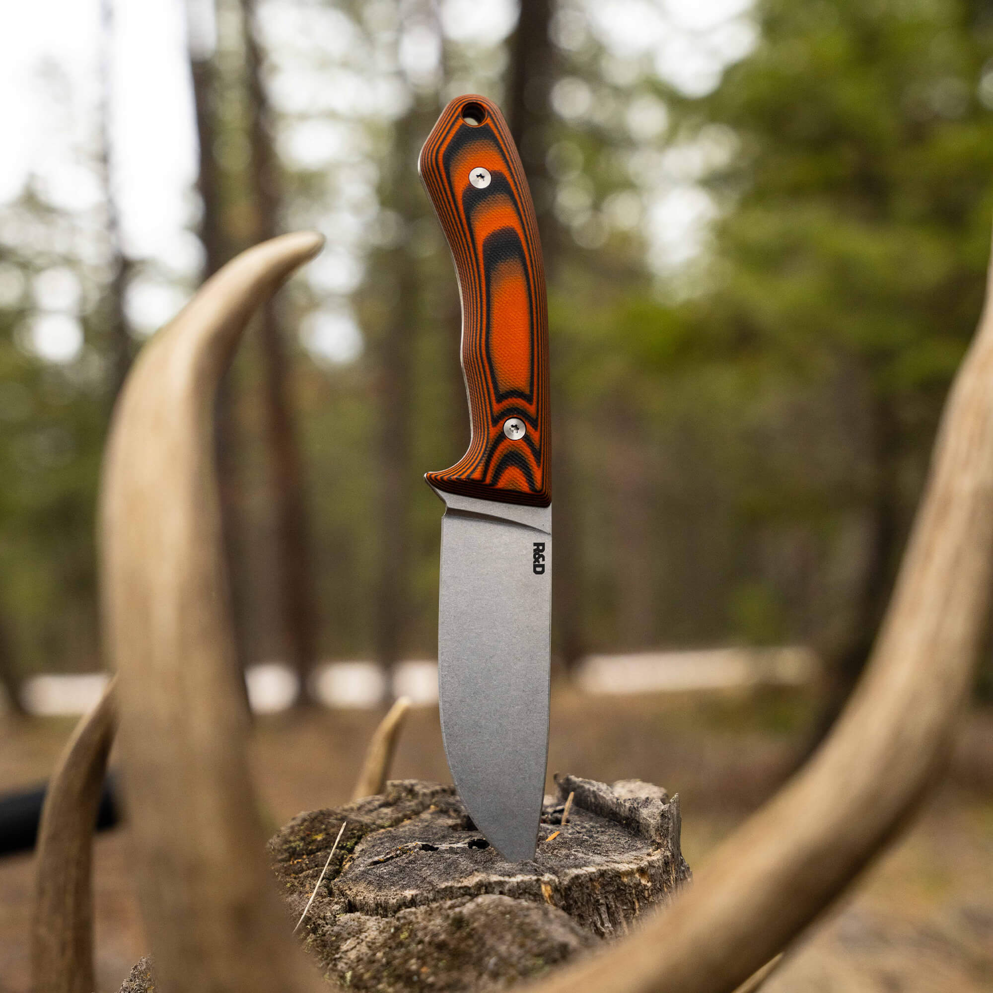 MULE DEER - ORANGE & BLACK