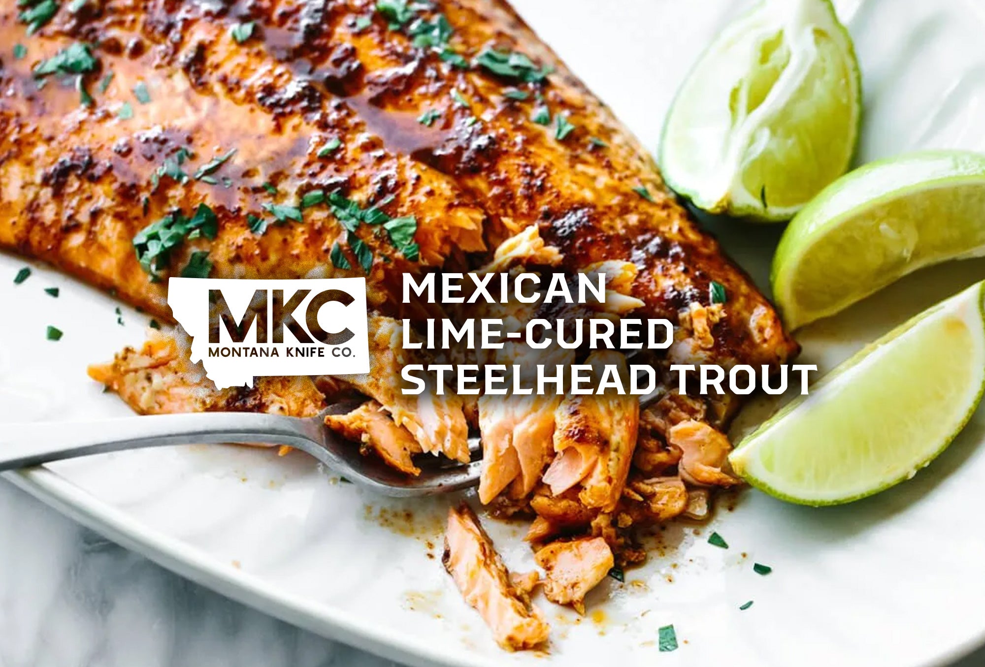 A close-up shot of MKC’s Mexican Lime-Cured Steelhead Trout on a porcelain plate garnished with lime and fresh herbs.