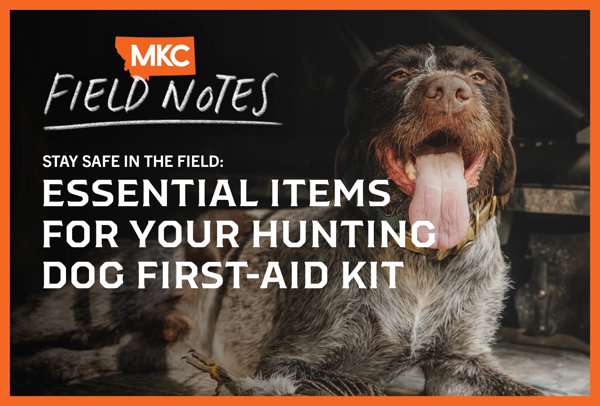 A dog relaxing after a hunt with the overlay “Stay Safe in the Field: Essential Items for Your Hunting Dog First-Aid Kit.”