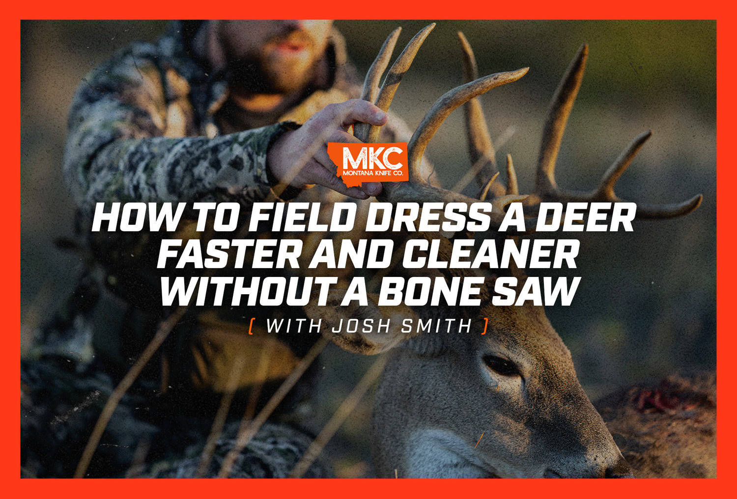 In a field, a man’s hands prop up the rack and head of the deer he brought down on a hunt. 