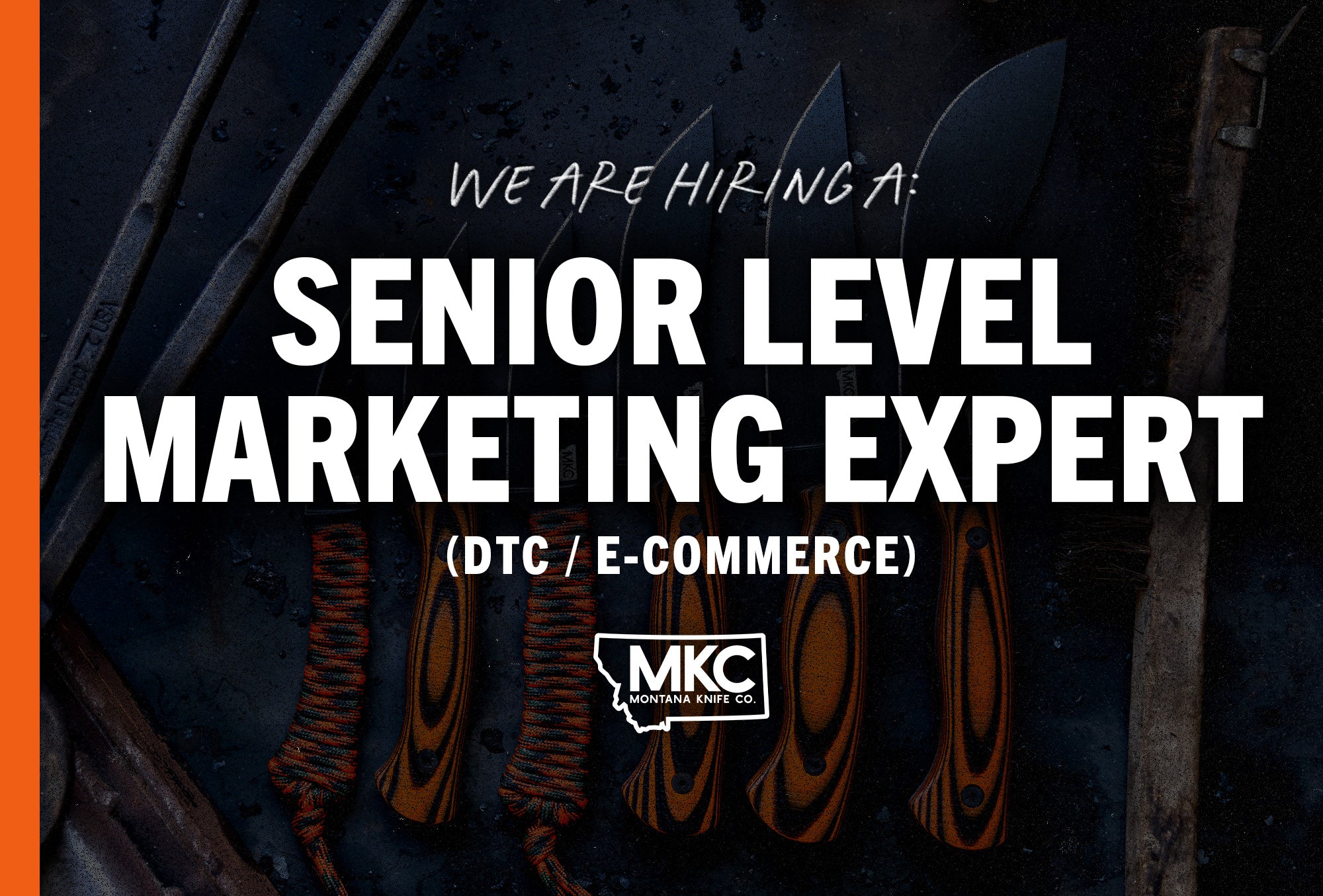 Senior Level Marketing Expert – DTC/E-commerce