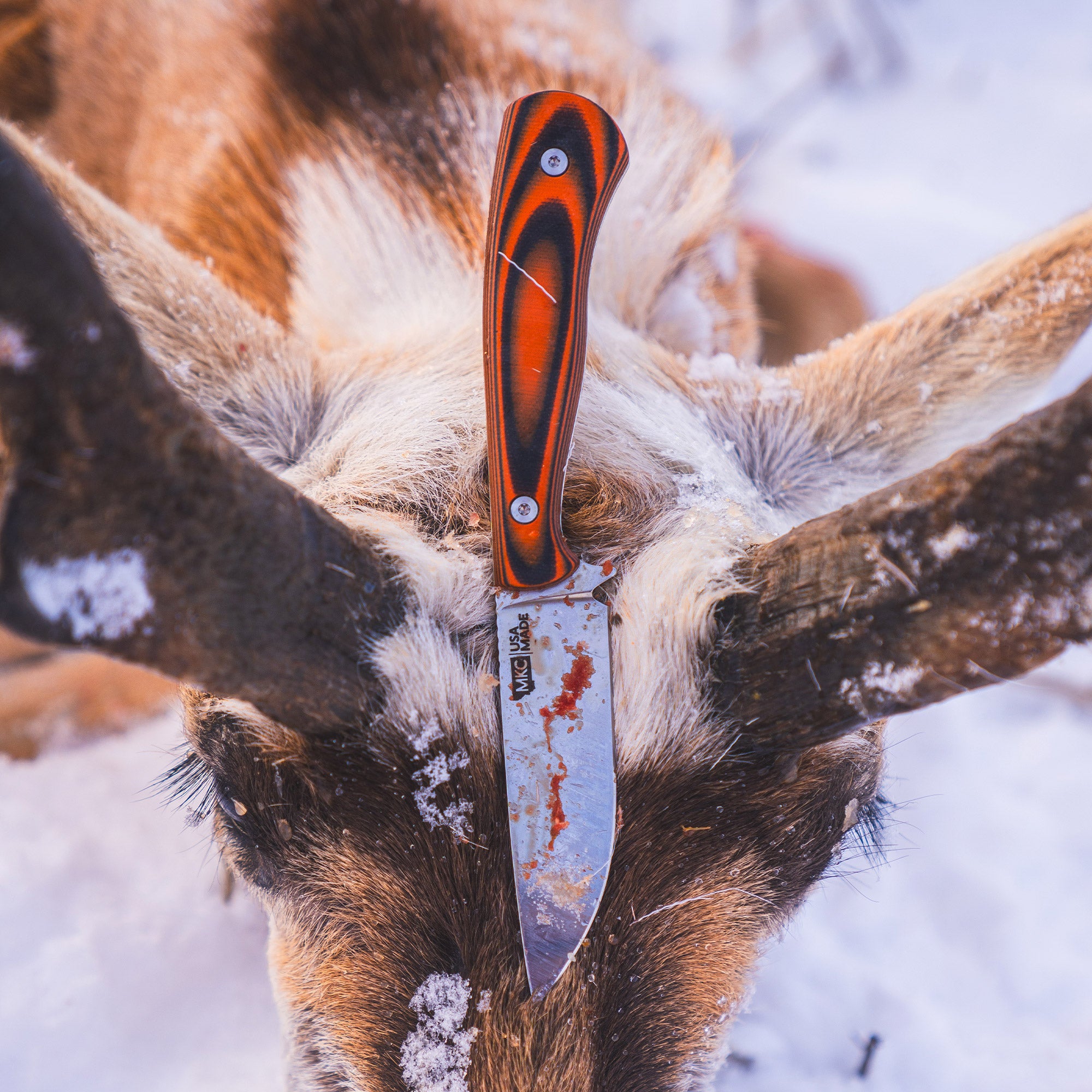 MKC WHITETAIL - ORANGE & BLACK