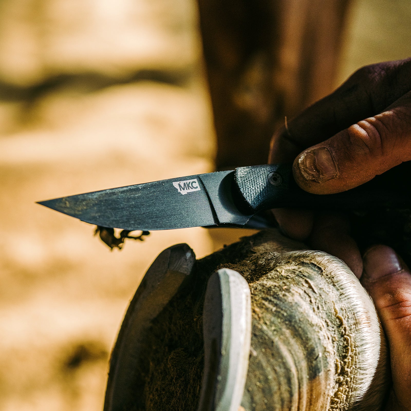 Alt text: "Close-up of a Blackfoot 2.0 tactical knife with a black blade and textured handle, being held and used to carve wood in an outdoor setting."